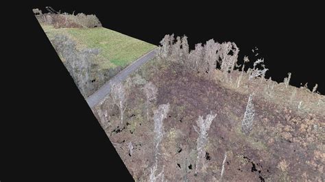 Orthophoto Dtm Dsm Point Cloud Processing Of Drone Photogrammetry