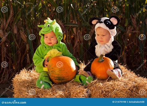 Toddlers in Halloween Costumes Stock Photo - Image of childhood, outfit ...