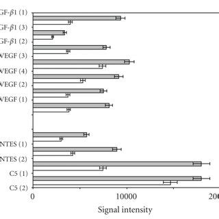 Protein Expression Validation With Antibody Microarray Protein