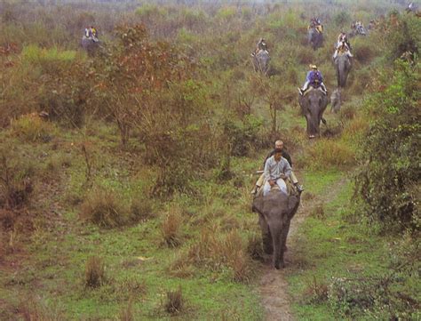 Kaziranga Manas National Park Wildlife Tours Package