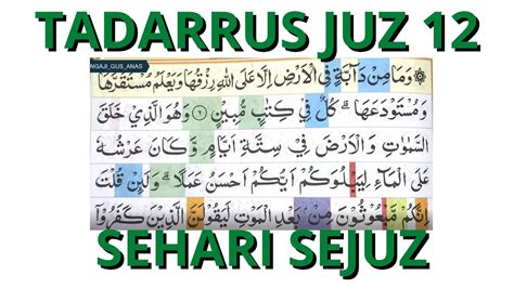 Surat Al Quran Juz 12 43 Koleksi Gambar