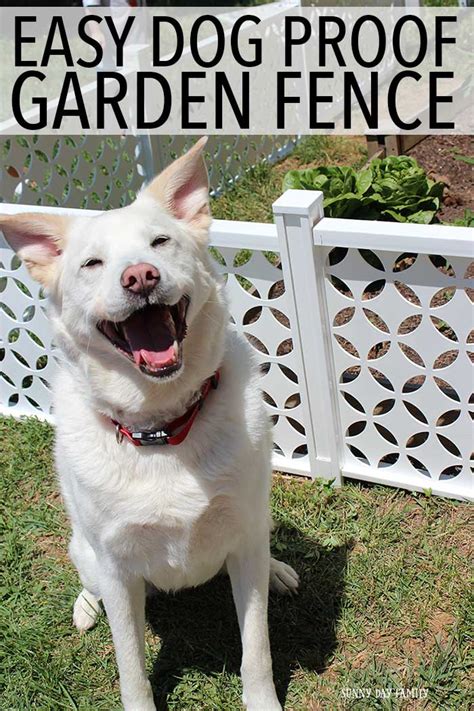 Easy Dog Proof Garden Fence | Sunny Day Family