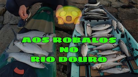 Pesca Aos Robalos E Bailas No Rio Douro Youtube