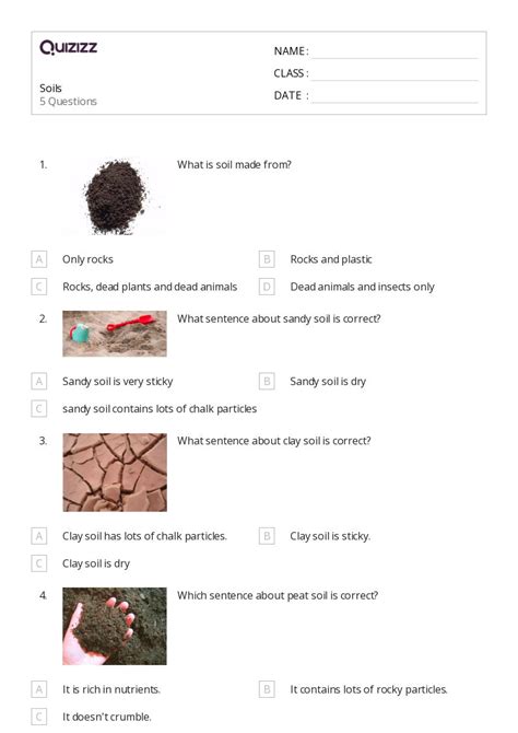 50 Soils Worksheets For 3rd Class On Quizizz Free And Printable