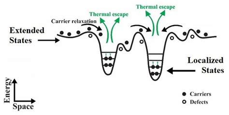 Schematic Illustration Of The Mechanism Of Carrier Transport Inside The