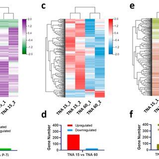 Visualization Of Different Lncrna Expression Profiles With Heatmap A