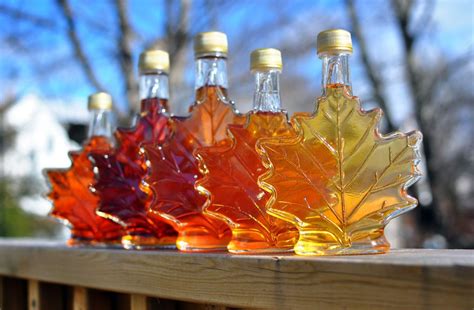 A Guide To Choosing The Right Maple Syrup Cottage Life