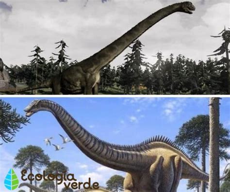 Dinosaurios HerbÍvoros Nombres Tipos Características E Imágenes