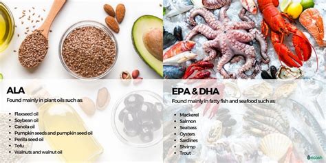 Omega 3 Levels In Foods