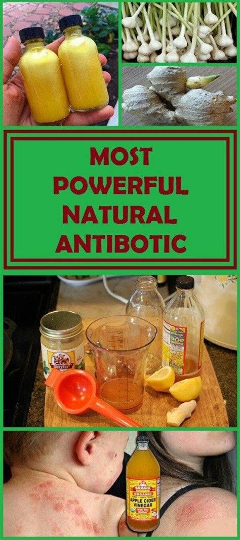 BEST NATURAL ANTIBIOTIC KILLS ALL INFECTIONS Natural Antibiotics