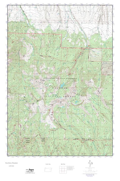 MyTopo Strawberry Mountain Oregon USGS Quad Topo Map