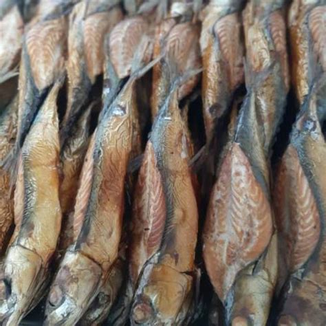 jual ikan asap khas tegal marfafood shopee indonesia