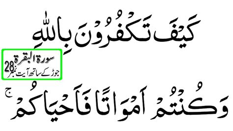 Surah Al Baqarah Hijje Verses Hd Arabic Word With Alphabet