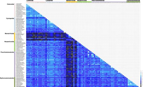 Color Heatmap Showing Distribution Of Pairwise Genetic Distances