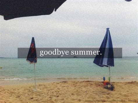 Goodbye Summer Goodbye Summer Summer Quotes Lovin Summertime Wind Sock Sweet Outdoor