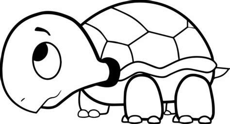 Imagenes De Tortugas Kawaii Para Colorear Para Colorir Fofos