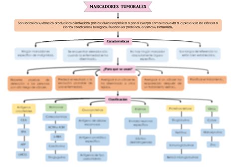 Solution Mapa Conceptual Marcadores Tumorales Studypool The Best Porn