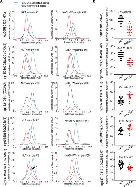 High Performance Liquid Chromatography Hplc Analysis Using The Newly Download Scientific