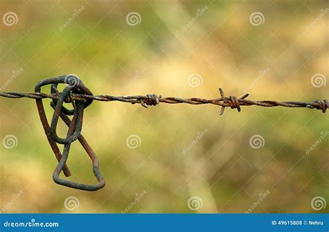 Rusty Barbed Wire Stock Photo Image Of Barrier Danger 49615808