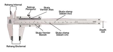 Cracking The Code Geico Caliper Assessment Answers Revealed