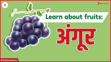 Angur अंगूर Learn About Fruits For Kids In Hindi Youtube