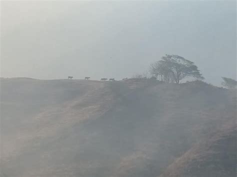 Once días de devastación en Quilanga Incendio forestal arrasa miles de