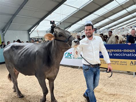 Sommet De L Elevage On Twitter Dans Le Hall Lait Le Concours Brune