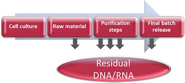 Residual DNA Analysis Of Host Cell DNA And RNA