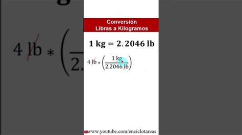 Convertir Libras A Kilos Gu A R Pida Y Sencilla Actualizado