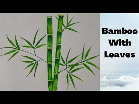 How To Draw Bamboo Step By Step