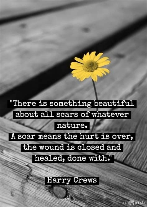 Inspirational Quotes On Scars Quotesgram
