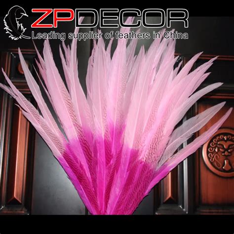 Zpdecor Plumas De Cola De Fais N Blancas Blanqueadas Pulgadas