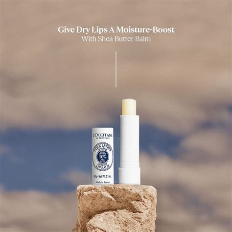 Buy Loccitane Shea Butter Ultra Rich Lip Balm Online