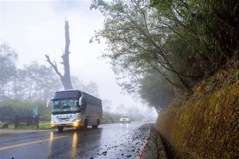 新國旅路線開通！行駛「最美景觀公路」暢遊日月潭、阿里山雙景區 在地推薦 橘世代