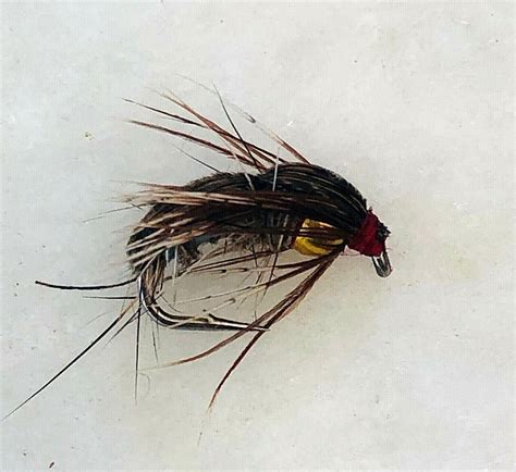 BH CADDIS EMERGER NYMPH THE HOLY GRAIL TROUT FLY FISHING FLIES 12 X