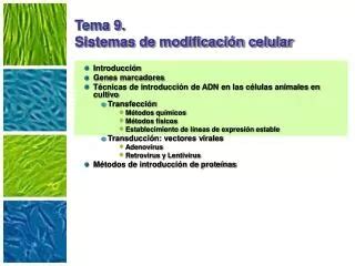 Ppt Tema Sistemas Nervioso Y Hormonal Powerpoint Presentation