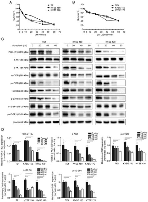 Aprepitant Inhibits The Progression Of Esophageal Squamous Cancer By