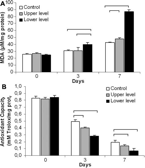 Oxidative Stress Markers A Lipid Peroxidation Products Were