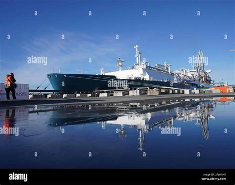 Hoegh Gannet Hi Res Stock Photography And Images Alamy