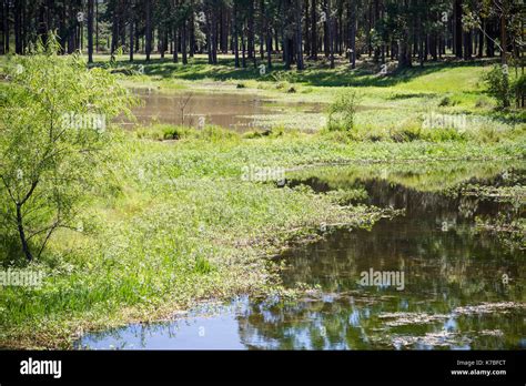 Urban Environments Wetlands Hi Res Stock Photography And Images Alamy