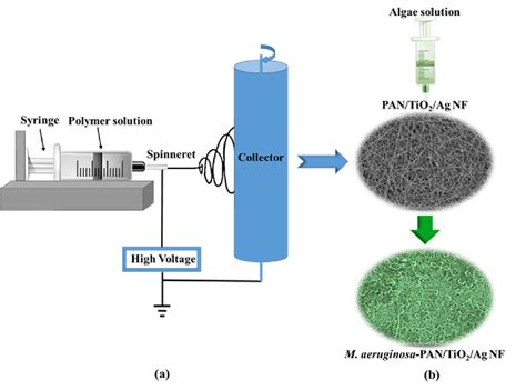 A Schematic Diagram Of Electrospinning Setup And B Diagram