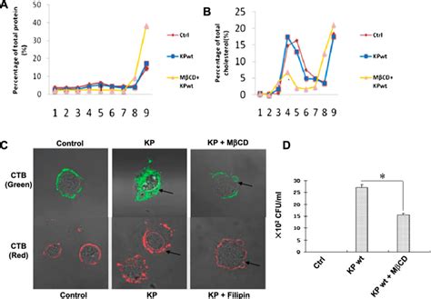 Disruption Of Lipid Rafts Impeded K Pneumoniae Internalization Into