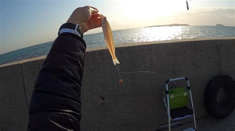 東海釣り三昧の釣行日記