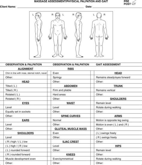 Assessment For Sports Massage And Physical Rehabilitation