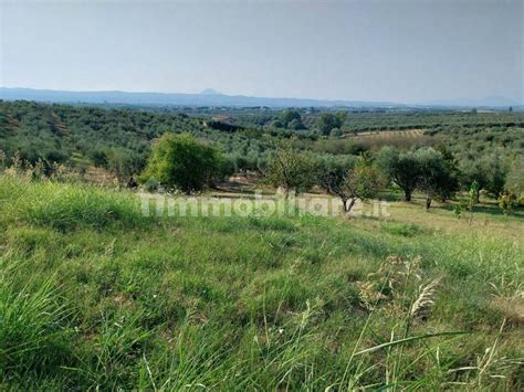 Vendita Villa Unifamiliare In Strada Provinciale Montelibretti