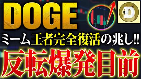 仮想通貨ドージ DOGE 価格高騰目前取引量も増加し15上昇遂にイーロンマスクも動き始めるか ドージコイン柴犬 YouTube