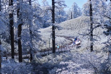 未预定请勿前往！四川瓦屋山景区1月28日预约人数已达上限游客封面峨眉