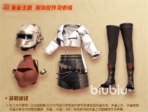 Pubg衣服有哪些 绝地求生稀有品质衣服获取方式介绍biubiu加速器