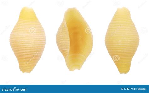 Conchiglie Pasta Shells Stock Photos - Image: 17474713