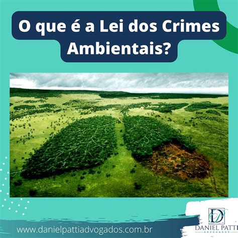 O que é a Lei dos Crimes Ambientais